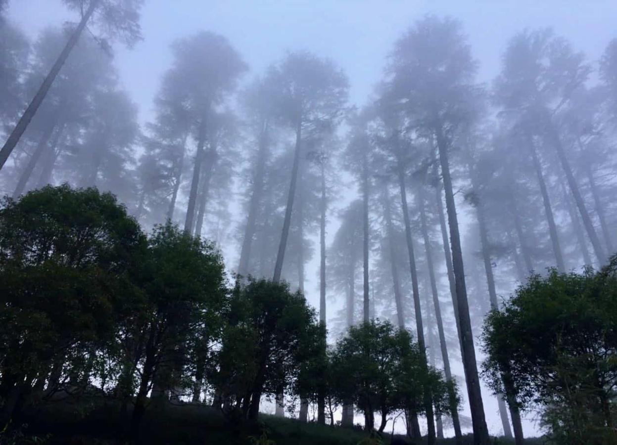 Madhuban Sarovar Portico Mussoorie Dış mekan fotoğraf